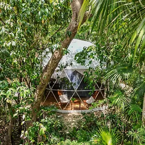 https://ku-kuk-glamping.allrivieramayahotels.com